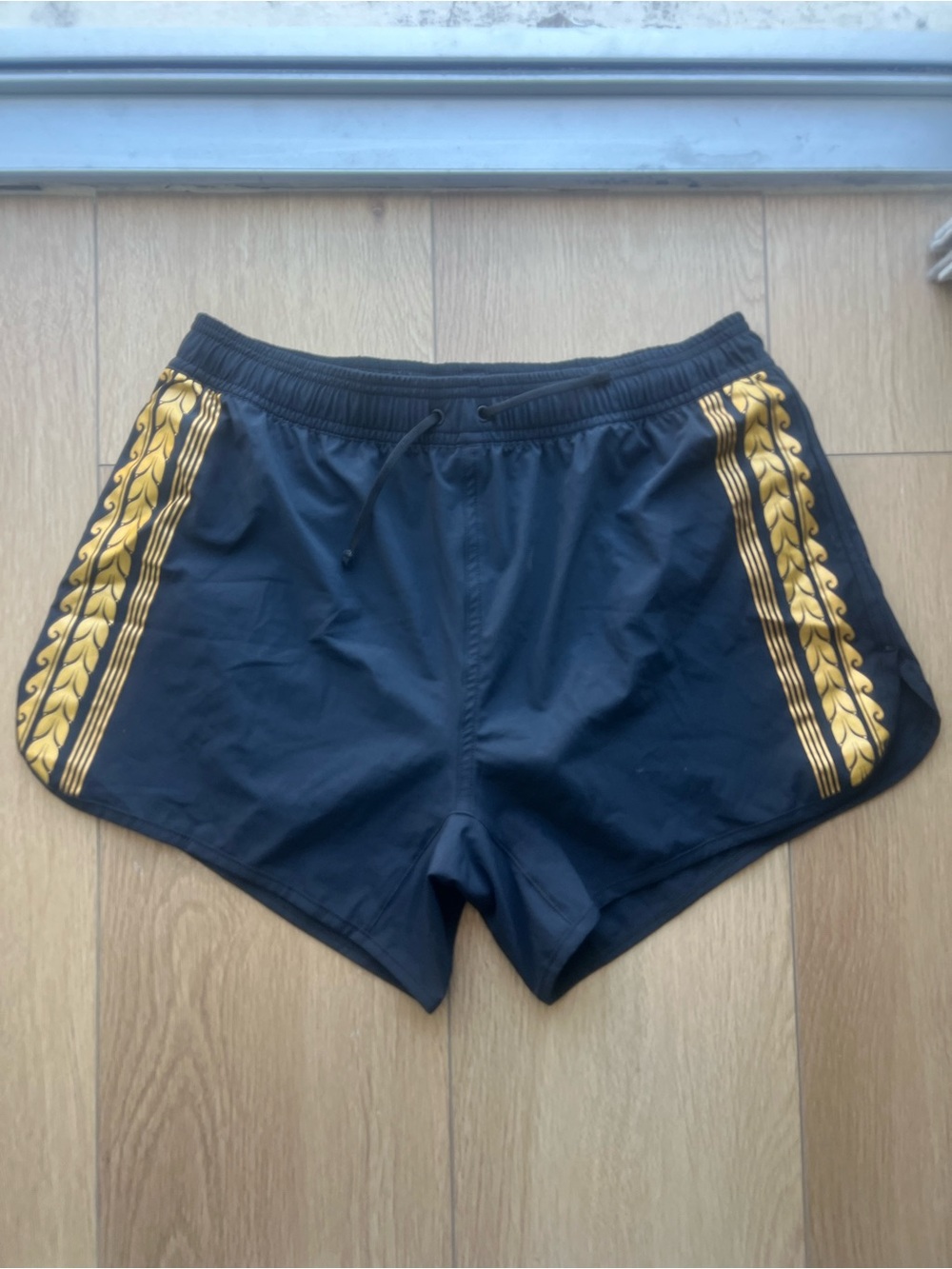 Charlie by Matthew Zinc Original Grecian Swim Trunks.